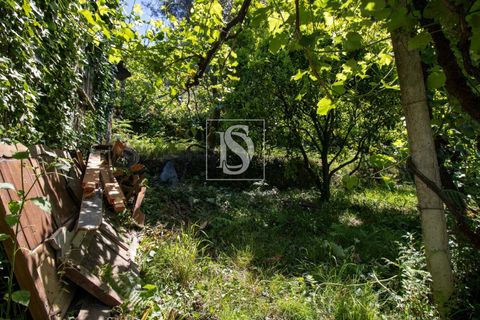 Villa i Amarante, Porto, Amarante - € 53.000 | Ref: DSAMTFC1/12937 - foto 22