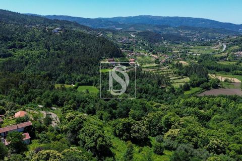 Villa i Amarante, Porto, Amarante - € 53.000 | Ref: DSAMTFC1/12937 - foto 23