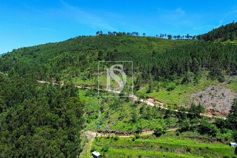 Villa i Amarante, Porto, Amarante - € 53.000 | Ref: DSAMTFC1/12937 - foto 24