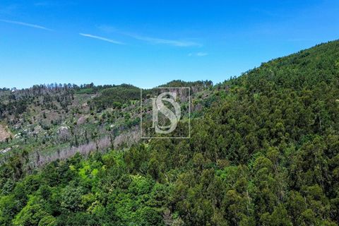 Villa i Amarante, Porto, Amarante - € 53.000 | Ref: DSAMTFC1/12937 - foto 25