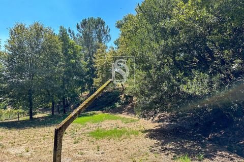 Helårsgrund i Amarante, Porto, Amarante - € 79.950 | Ref: DSAMTFC2/12937 - foto 1