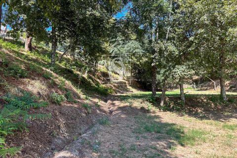 Helårsgrund i Amarante, Porto, Amarante - € 79.950 | Ref: DSAMTFC2/12937 - foto 2