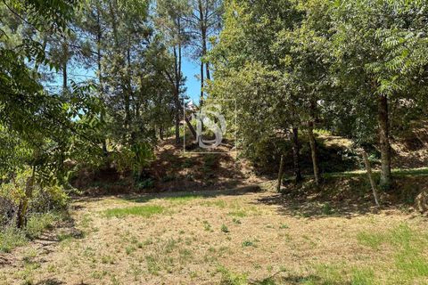 Helårsgrund i Amarante, Porto, Amarante - € 79.950 | Ref: DSAMTFC2/12937 - foto 6