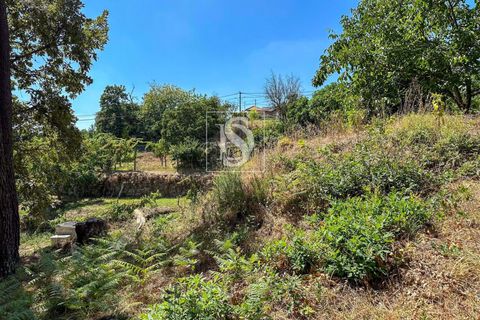 Helårsgrund i Amarante, Porto, Amarante - € 79.950 | Ref: DSAMTFC2/12937 - foto 7