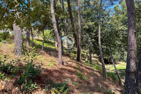 Helårsgrund i Amarante, Porto, Amarante - € 79.950 | Ref: DSAMTFC2/12937 - foto 8