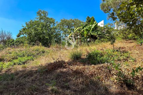 Helårsgrund i Amarante, Porto, Amarante - € 79.950 | Ref: DSAMTFC2/12937 - foto 9