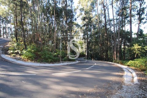 Helårsgrund i Amarante, Porto, Amarante - € 5.500 | Ref: AMTRM471/12937 - foto 1