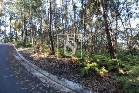 Helårsgrund i Amarante, Porto, Amarante - € 5.500 | Ref: AMTRM471/12937 - foto 4