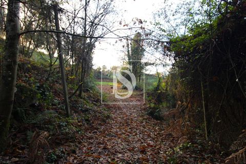 Helårsgrund i Amarante, Porto, Amarante - € 5.500 | Ref: AMTRM478/12937 - foto 1