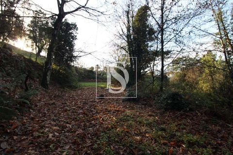 Helårsgrund i Amarante, Porto, Amarante - € 5.500 | Ref: AMTRM478/12937 - foto 3