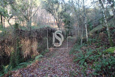 Helårsgrund i Amarante, Porto, Amarante - € 5.500 | Ref: AMTRM478/12937 - foto 4