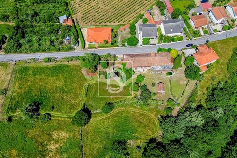 Villa i Amarante, Porto, Amarante - € 560.000 | Ref: DSAMTAMTMF126/12937 - foto 6