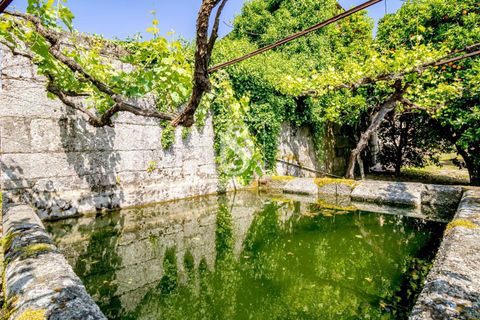 Villa i Amarante, Porto, Amarante - € 560.000 | Ref: DSAMTAMTMF126/12937 - foto 9