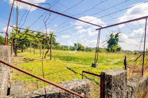 Villa i Amarante, Porto, Amarante - € 560.000 | Ref: DSAMTAMTMF126/12937 - foto 10