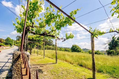 Villa i Amarante, Porto, Amarante - € 560.000 | Ref: DSAMTAMTMF126/12937 - foto 12
