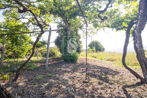 Villa i Amarante, Porto, Amarante - € 560.000 | Ref: DSAMTAMTMF126/12937 - foto 20