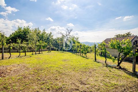 Villa i Amarante, Porto, Amarante - € 560.000 | Ref: DSAMTAMTMF126/12937 - foto 24