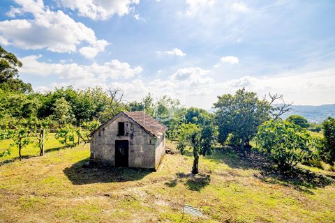 Villa i Amarante, Porto, Amarante - € 560.000 | Ref: DSAMTAMTMF126/12937 - foto 26