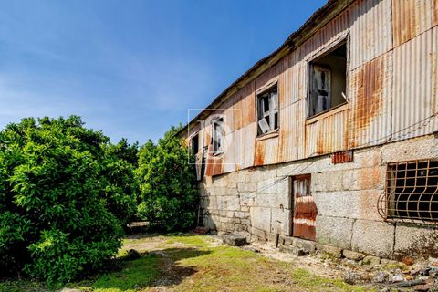 Villa i Amarante, Porto, Amarante - € 560.000 | Ref: DSAMTAMTMF126/12937 - foto 47
