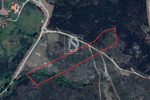 Helårsgrund i Amarante, Porto, Amarante - € 50.000 | Ref: DSAMTCR82/12937 - foto 1