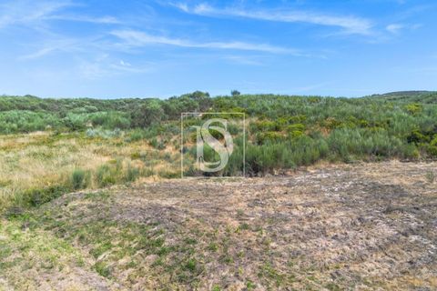 Helårsgrund i Amarante, Porto, Amarante - € 50.000 | Ref: DSAMTCR82/12937 - foto 2
