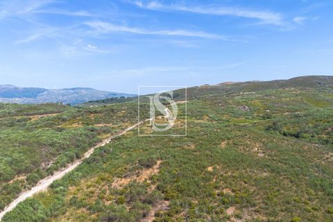 Helårsgrund i Amarante, Porto, Amarante - € 50.000 | Ref: DSAMTCR82/12937 - foto 3