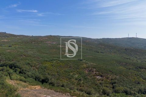 Helårsgrund i Amarante, Porto, Amarante - € 50.000 | Ref: DSAMTCR82/12937 - foto 4