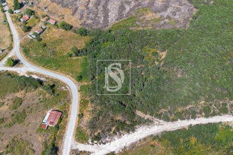 Helårsgrund i Amarante, Porto, Amarante - € 50.000 | Ref: DSAMTCR82/12937 - foto 7