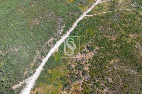 Helårsgrund i Amarante, Porto, Amarante - € 50.000 | Ref: DSAMTCR82/12937 - foto 8