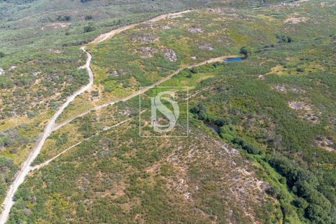 Helårsgrund i Amarante, Porto, Amarante - € 50.000 | Ref: DSAMTCR82/12937 - foto 9