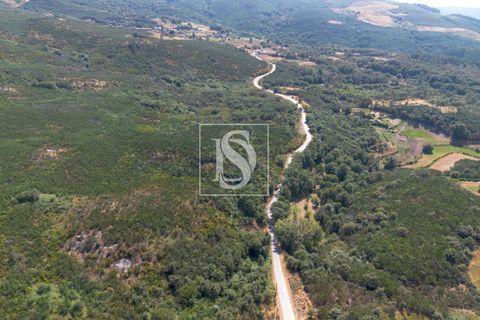 Helårsgrund i Amarante, Porto, Amarante - € 50.000 | Ref: DSAMTCR82/12937 - foto 10