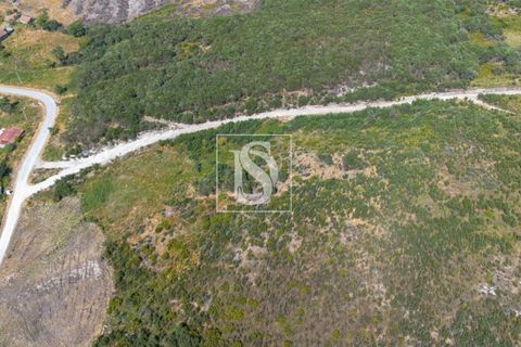 Helårsgrund i Amarante, Porto, Amarante - € 50.000 | Ref: DSAMTCR82/12937 - foto 12