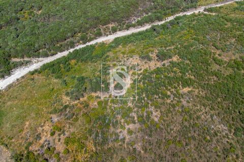 Helårsgrund i Amarante, Porto, Amarante - € 50.000 | Ref: DSAMTCR82/12937 - foto 13