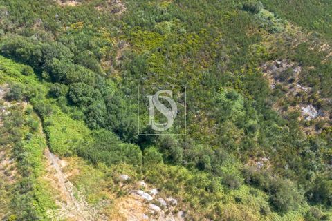 Helårsgrund i Amarante, Porto, Amarante - € 50.000 | Ref: DSAMTCR82/12937 - foto 14