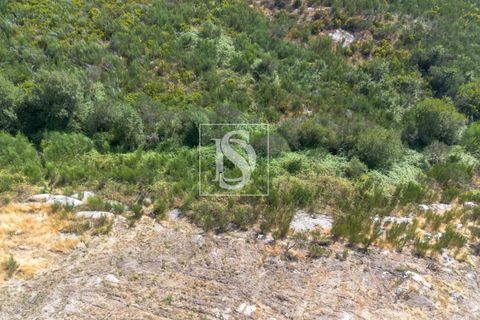 Helårsgrund i Amarante, Porto, Amarante - € 50.000 | Ref: DSAMTCR82/12937 - foto 15