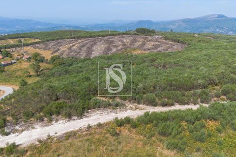 Helårsgrund i Amarante, Porto, Amarante - € 50.000 | Ref: DSAMTCR82/12937 - foto 16