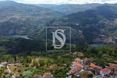 Helårsgrund i Baiao, Porto, Baiao - € 35.000 | Ref: AMTDR578/12937 - foto 2
