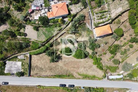 Helårsgrund i Baiao, Porto, Baiao - € 35.000 | Ref: AMTDR578/12937 - foto 4