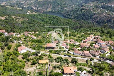 Helårsgrund i Baiao, Porto, Baiao - € 35.000 | Ref: AMTDR578/12937 - foto 6