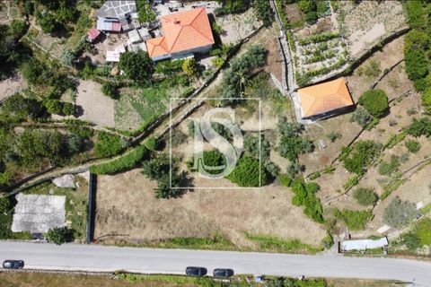 Helårsgrund i Baiao, Porto, Baiao - € 35.000 | Ref: AMTDR578/12937 - foto 8