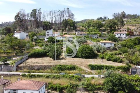 Helårsgrund i Baiao, Porto, Baiao - € 35.000 | Ref: AMTDR578/12937 - foto 9