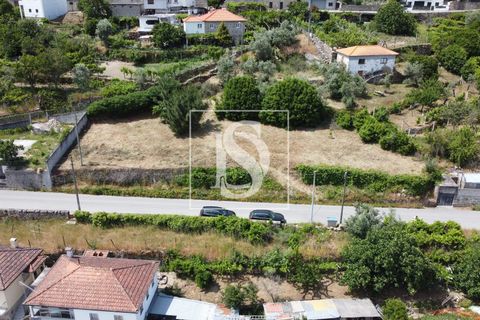 Helårsgrund i Baiao, Porto, Baiao - € 35.000 | Ref: AMTDR578/12937 - foto 11