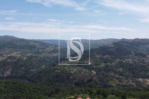 Helårsgrund i Baiao, Porto, Baiao - € 35.000 | Ref: AMTDR578/12937 - foto 12