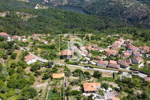 Helårsgrund i Baiao, Porto, Baiao - € 35.000 | Ref: AMTDR578/12937 - foto 13