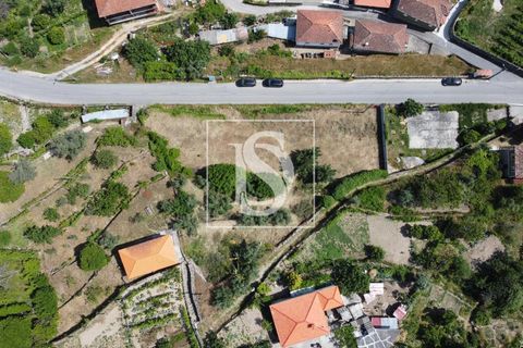 Helårsgrund i Baiao, Porto, Baiao - € 35.000 | Ref: AMTDR578/12937 - foto 15