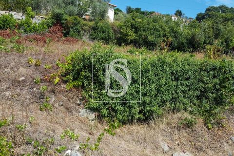 Helårsgrund i Baiao, Porto, Baiao - € 35.000 | Ref: AMTDR578/12937 - foto 19