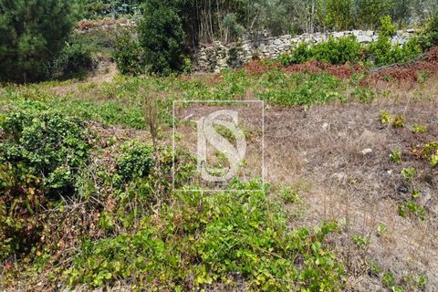 Helårsgrund i Baiao, Porto, Baiao - € 35.000 | Ref: AMTDR578/12937 - foto 20