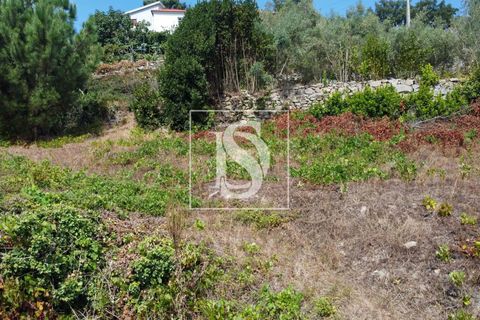 Helårsgrund i Baiao, Porto, Baiao - € 35.000 | Ref: AMTDR578/12937 - foto 21