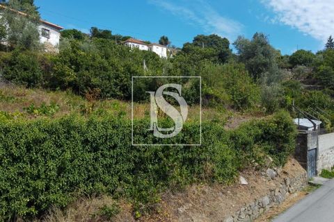 Helårsgrund i Baiao, Porto, Baiao - € 35.000 | Ref: AMTDR578/12937 - foto 23