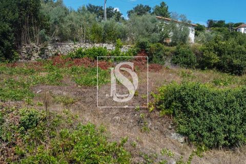 Helårsgrund i Baiao, Porto, Baiao - € 35.000 | Ref: AMTDR578/12937 - foto 24